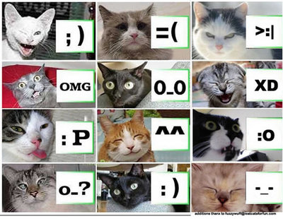 smiley emoticons faces. Cat Faces and Emoticons